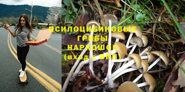 ALPHA PVP Беломорск
