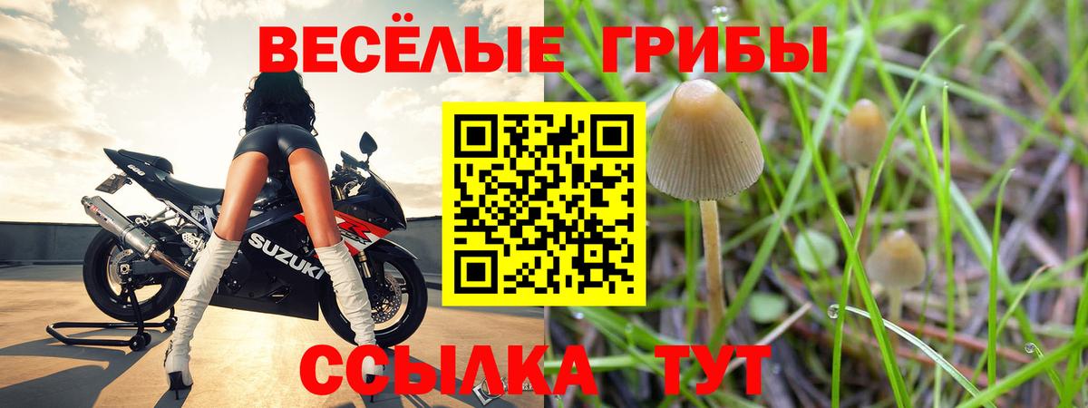 Галлюциногенные грибы ЛСД Саяногорск