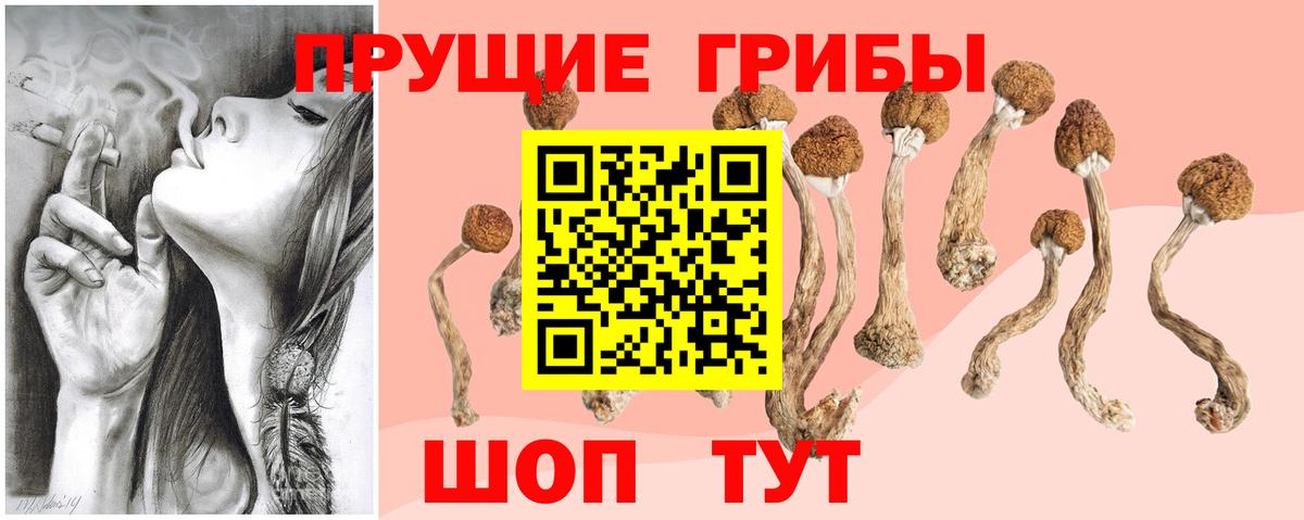 как найти наркотики  Вход с VPN  Саяногорск  Псилоцибиновые грибы MAGIC MUSHROOMS 